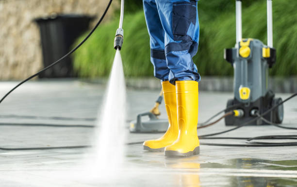 Best Best Pressure Washing Companies  in Wolf Lake, MI