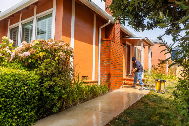 Best Concrete Pressure Washing  in Wolf Lake, MI