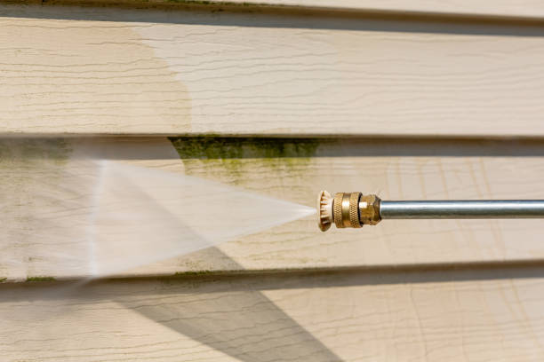 Best Residential Pressure Washing Services  in Wolf Lake, MI