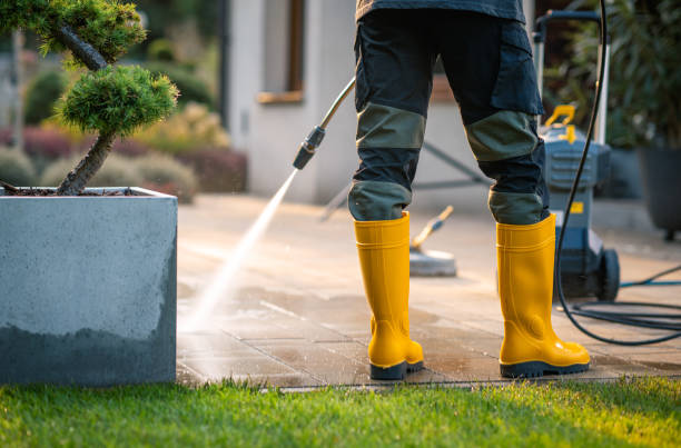 Best Pressure Washing Driveway  in Wolf Lake, MI